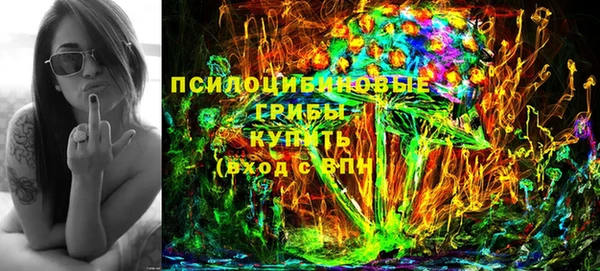 соль ск Дмитровск