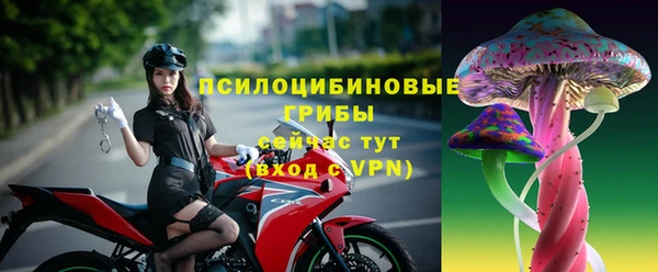 прущие крисы Горно-Алтайск