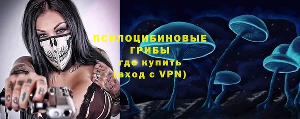 ALPHA PVP Горнозаводск