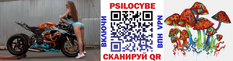 Купить закладки  Лениногорск  Псилоцибиновые грибы мицелий 